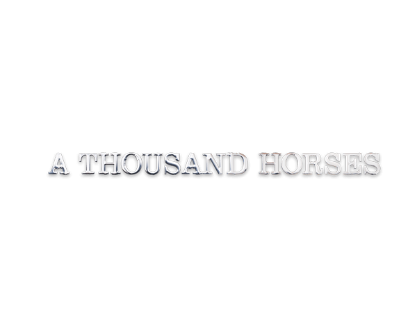 A Thousand Horses